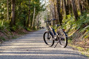 Rutas de Bicicleta Eléctrica: Explorando Asturias sin Esfuerzo