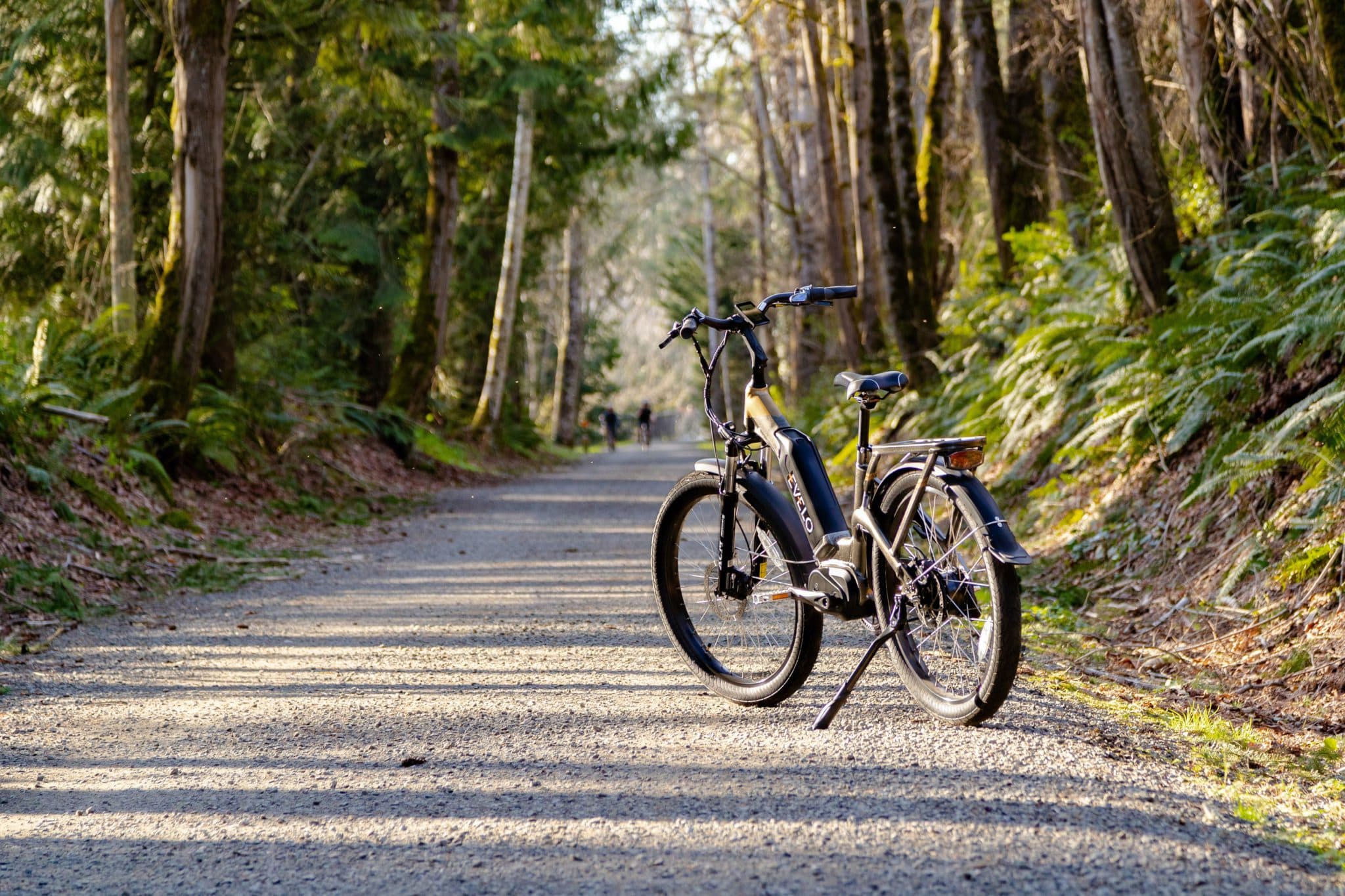 Rutas de Bicicleta Eléctrica: Explorando Asturias sin Esfuerzo